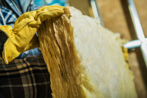 Best Insulation for Specific Applications in Rio Bravo, TX