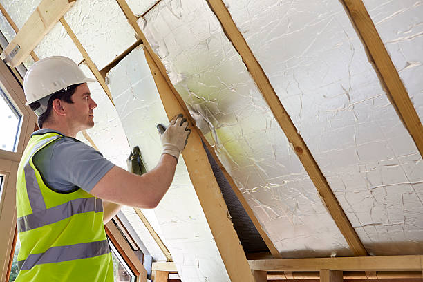 Best Insulation Maintenance and Repair in Rio Bravo, TX